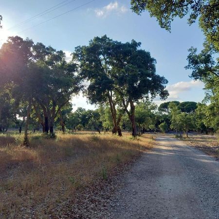 Alto Villa Alcácer do Sal Екстериор снимка